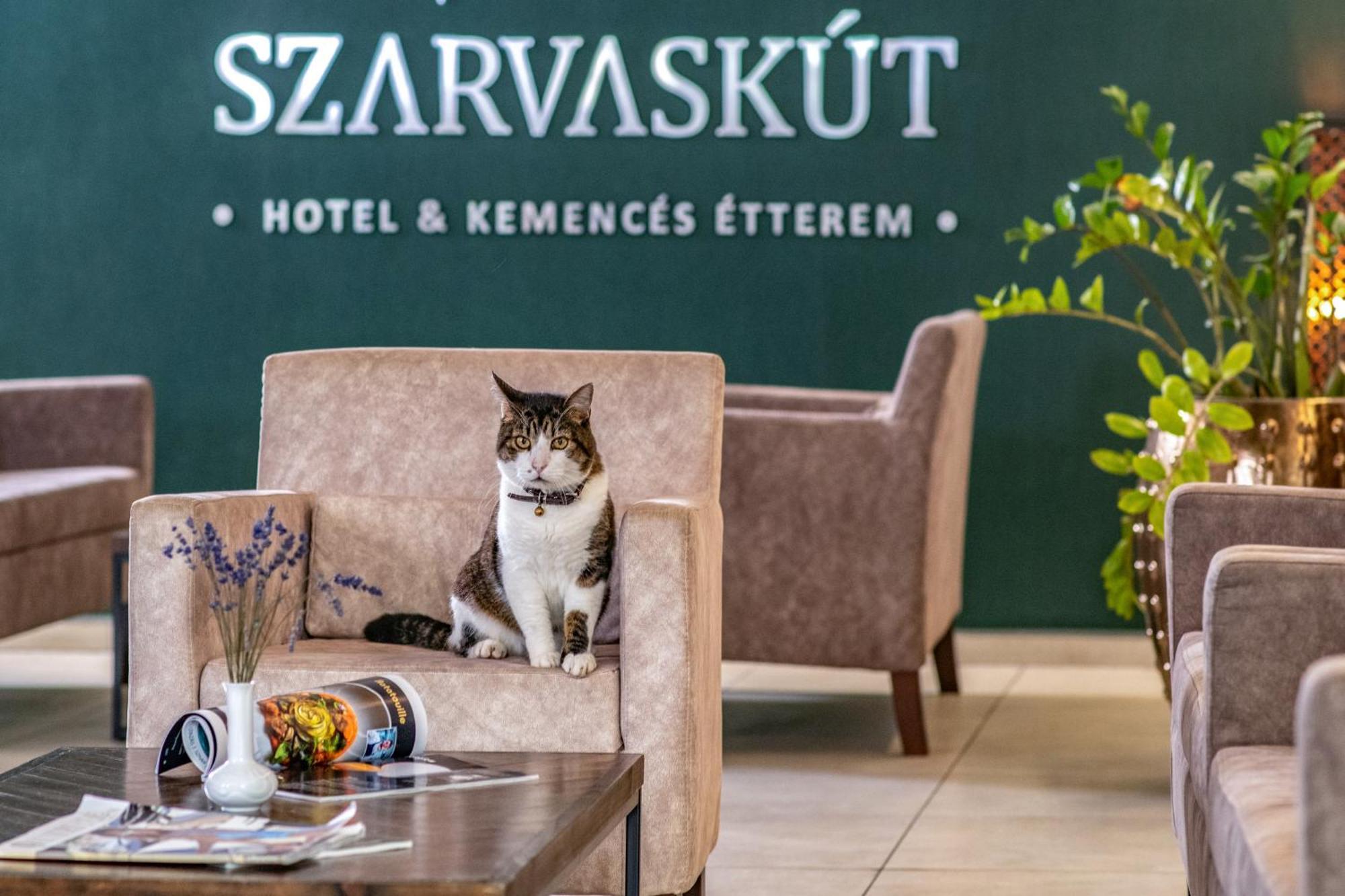 Szarvaskut Hotel Зирц Экстерьер фото